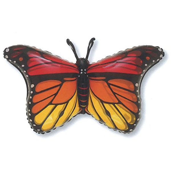 モナークバタフライ