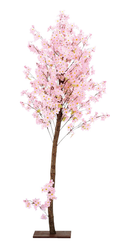 天然木桜スタンド