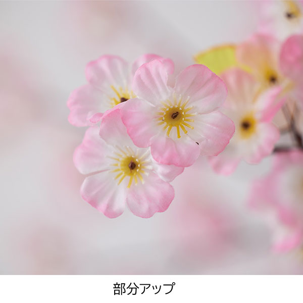 桜ツリー