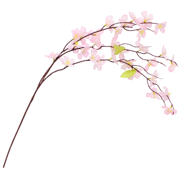 ミニシダレ桜