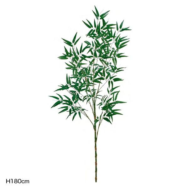 バンブーツリー(笹竹)