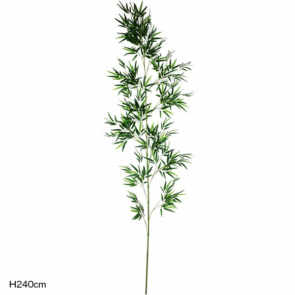 バンブーツリー(笹竹)