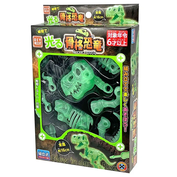 光る骨格恐竜