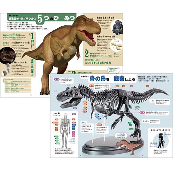ティラノサウルス骨格模型＆ポスター